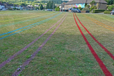 Site 9 Coloured lines 2m apart