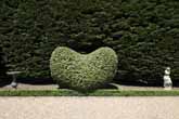 Falmer Court Gardens in June 2021