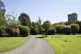 Falmer Court Gardens in June 2021