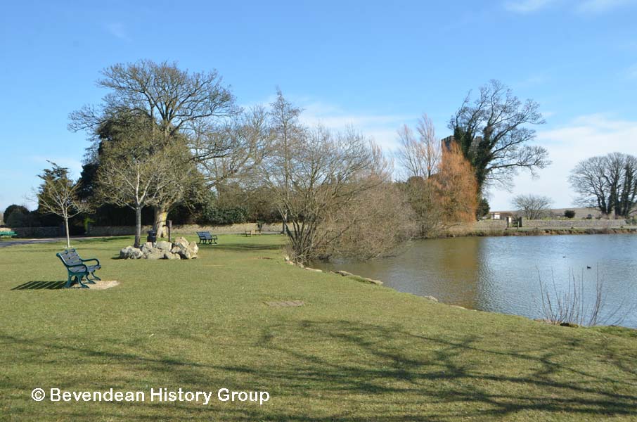 Falmer Pond 7 March 2015