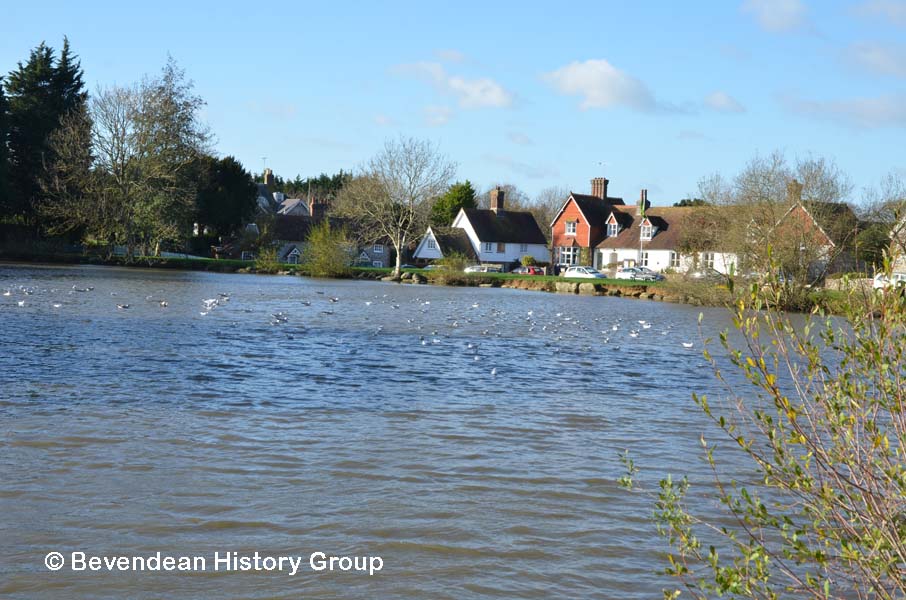 Falmer Pond November 2015