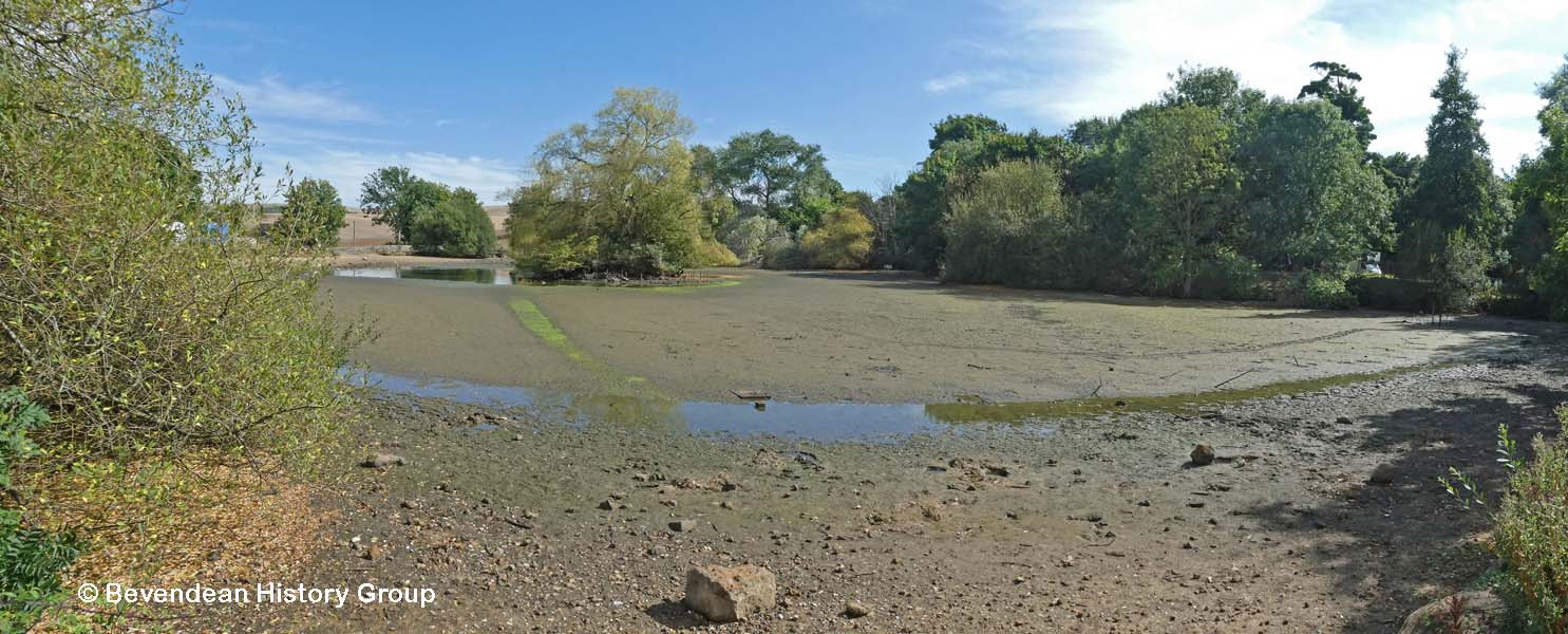 Falmer Pond in August 2022