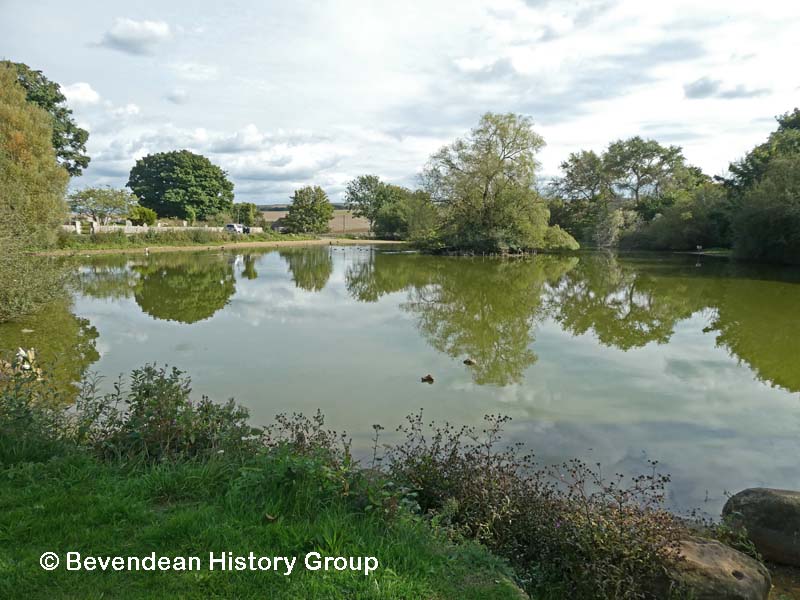 Falmer Pond in September 2022