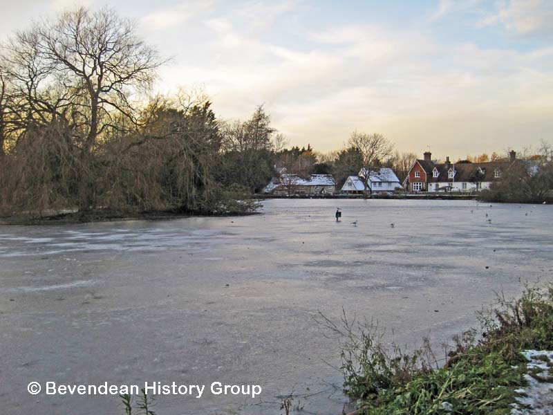 Falmer Pond Frozen over - Dec 2022