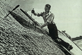 Rethatching Falmer Tithe Barn c1950