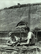 Rethatching Falmer Tithe Barn c1950
