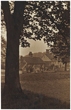 Falmer Flint Cottages 1920