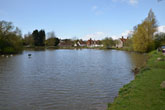 Falmer Pond in April 2014