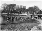 Tadpole catchers at Falmer pond c.1938