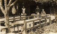 Outside area of Falmer Tea Gardens with tables and benches and staff in background c.1905