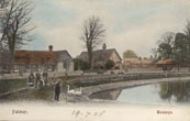 Children feeding swans at Falmer pond c.1905