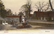 Hand-tinted photographic image of women and children at the edge of Falmer pond c.1905