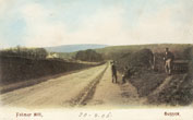 Hand-tinted photographic image of a man and two boys on a long lane titled "Falmer Hill" Brighton c.1905