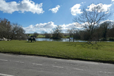 View over pond Falmer Village 19 March 2021