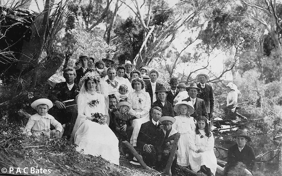 1913 Wedding Party at Hodshrove