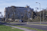 Damage Trees at Moulsecoomb Place after Hurricane in 1987