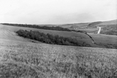 Home Farm behind Moulsecoomb Place in 1938