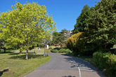 Moulsecoomb Place Grounds in May 2020