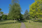 Moulsecoomb Place Grounds in May 2020