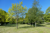Moulsecoomb Place Grounds in May 2020