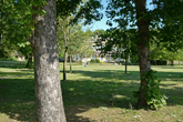 Moulsecoomb Place Grounds in May 2020