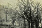 1938c East Moulsecoomb Hog Plantation