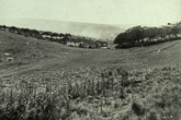 3 November 1954 Ashurst Road Extension