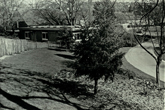 5 May 1971 Moulsecoomb Place - Parks & Garden Department
