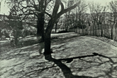 5 May 1971 Moulsecoomb Place - Parks & Garden Department