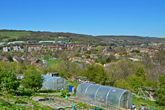 21 April 2015 South Moulsecoomb - The Avenue