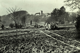 19 January 1955 Wild Park view 1