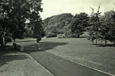 Wild Park view 1 after 1955