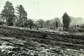 19 January 1955 Wild Park view 2