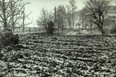 19 January 1955 Wild Park view 4