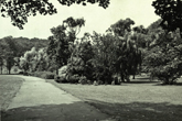 Wild Park view 4 after 1955