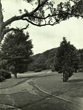 19 January 1955 Wild Park view 6