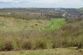 Wild Park from Hollingbury Camp 19-04-2015