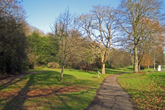 Wild Park on 24 January 2017