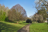 Wild Park on 24 January 2017