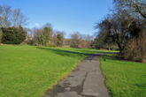 Wild Park on 24 January 2017