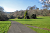 Wild Park on 24 January 2017