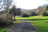 Wild Park on 24 January 2017