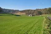 Wild Park on 24 January 2017
