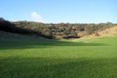 Wild Park on 7 February 2017