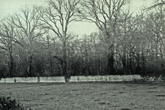 Stanmer Estate Boundary Wall c1947