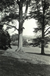 Church Viewed Through Trees, Stanmer Park, Stanmer Conservation Area in 1970s