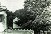 Horse Gin by Stanmer House in 1970s