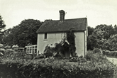 Upper Lodges, Stanmer Park 13 August 1986