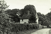 Upper Lodges, Stanmer Park 13 August 1986