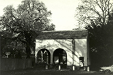 Horse Gin by Stanmer House in 1970s